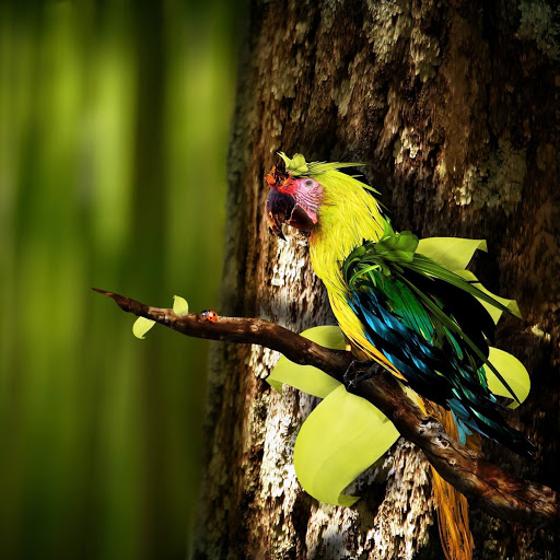 Hd-145875-ascw145875