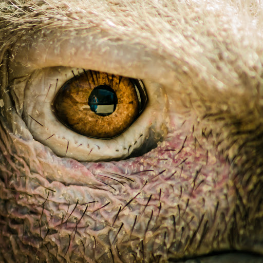 Hd-131044-ascw131044