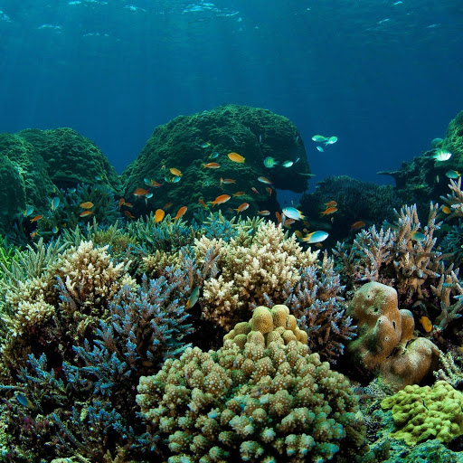 Hd-141991-ascw141991