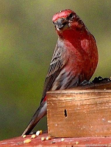 [DSC_1705%255B8%255D.jpg]