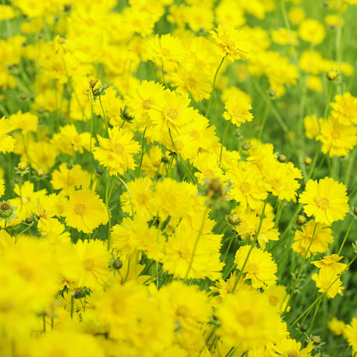 Hd-166040-ascw166040