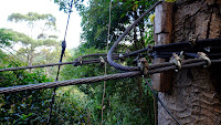 DSCF2144.JPG