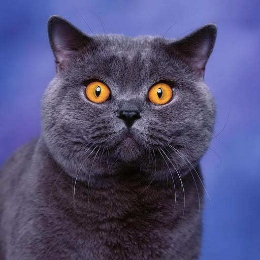 Hd-182609-ascw182609