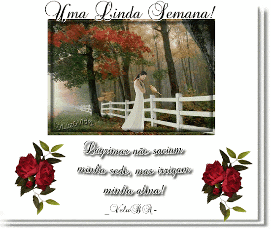 lagrima%2528MB%2529maryluz.gif
