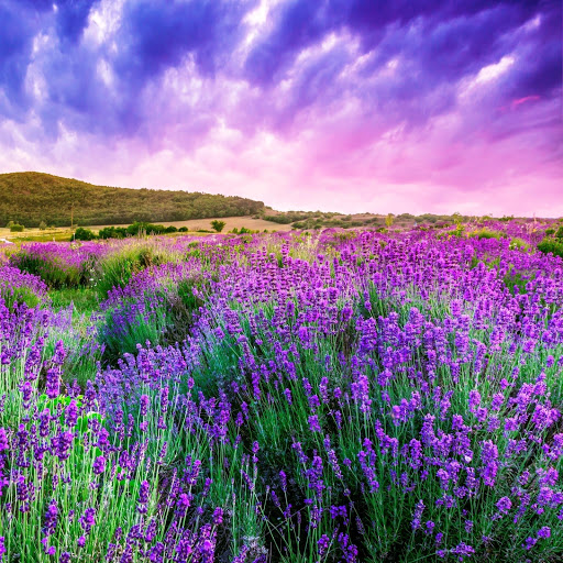 Hd-151074-ascw151074