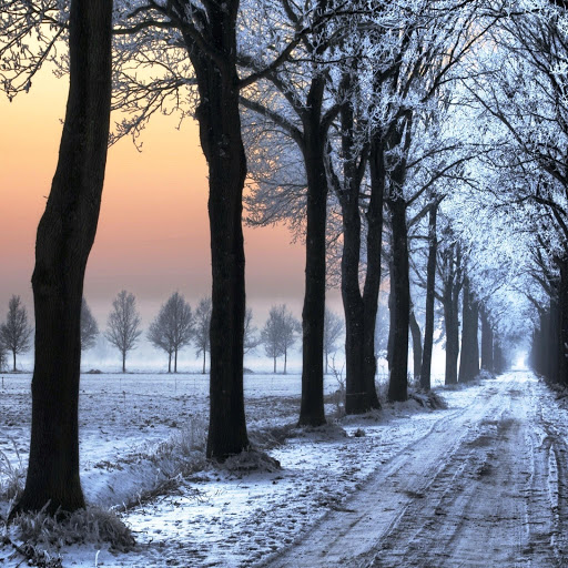 Hd-161794-ascw161794