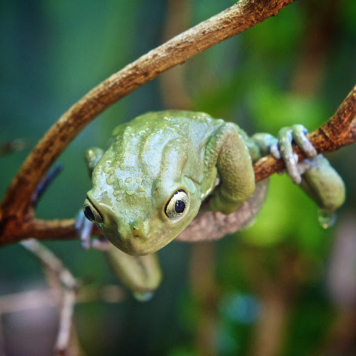 Hd-179843-ascw179843