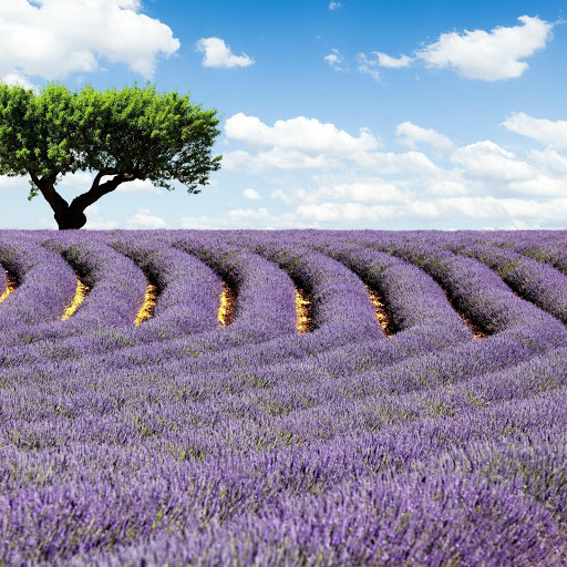 Hd-173646-ascw173646