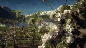 cidafrutas%2520%25281%2529.gif