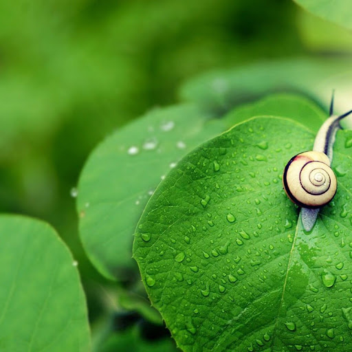 Hd-147810-ascw147810