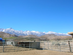 173 - Sierra Nevada.JPG