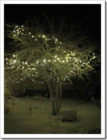 20120224_snow-lights-snowman_009