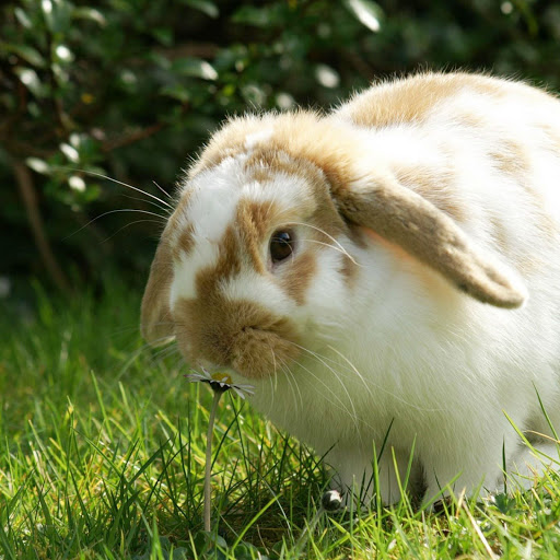 Hd-162239-ascw162239