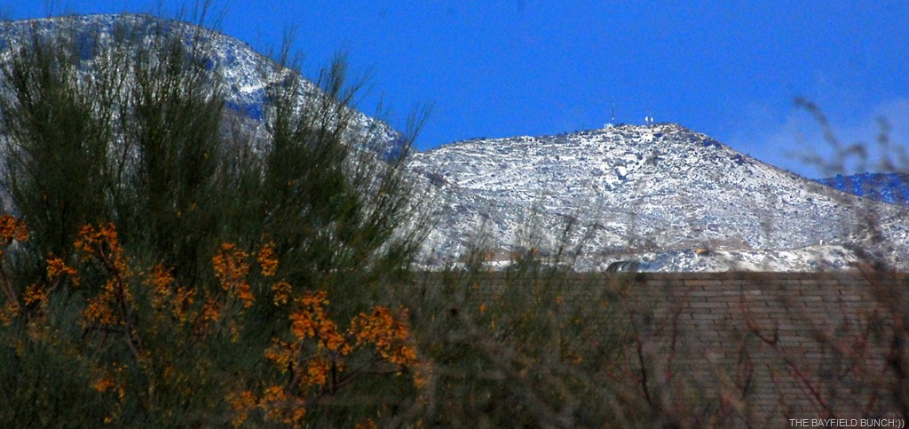 [DSC_8608%255B4%255D.jpg]