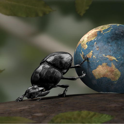 Hd-171234-ascw171234