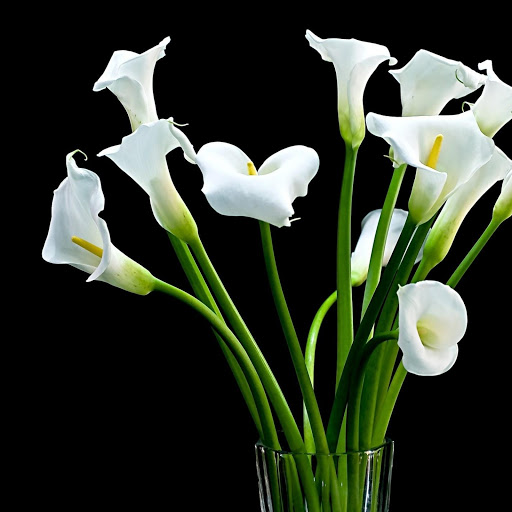 Hd-149219-ascw149219