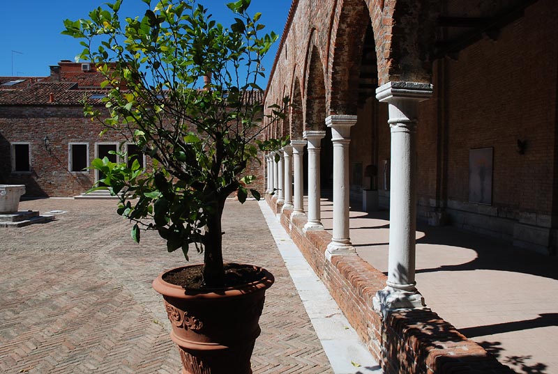 Chiostro_mad_orto_04a.jpg