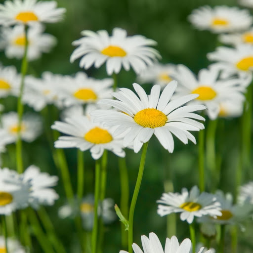 Hd-156737-ascw156737