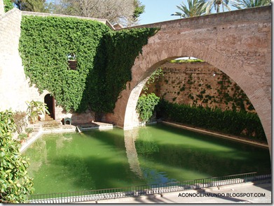11-Palma de Mallorca. Jardines s'Hort del Rei - P4140019
