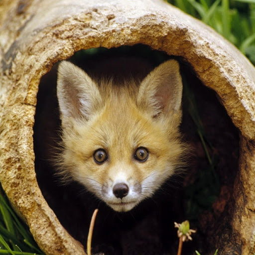 Hd-139493-ascw139493