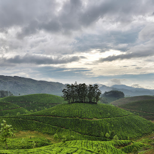 Hd-183321-ascw183321