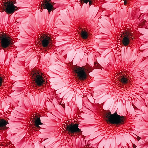 Hd-148284-ascw148284