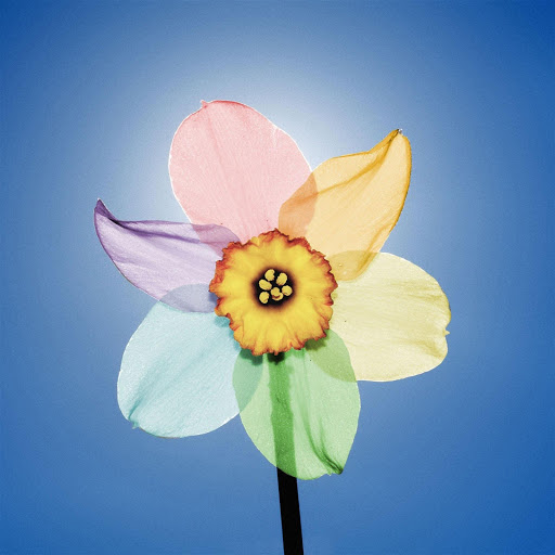 Hd-179624-ascw179624