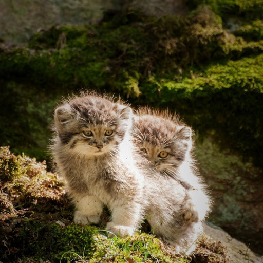 Hd-174964-ascw174964