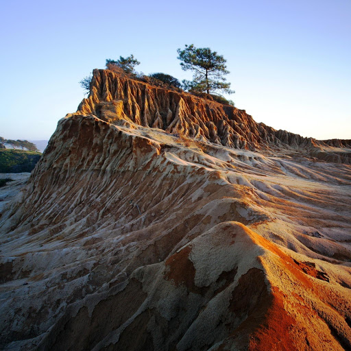 Hd-152305-ascw152305