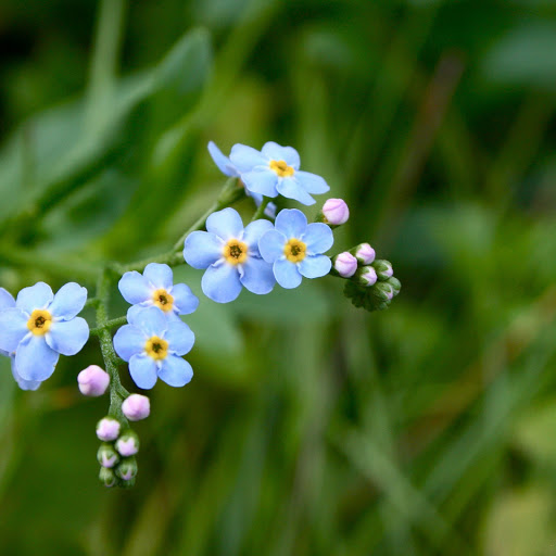 Hd-141889-ascw141889