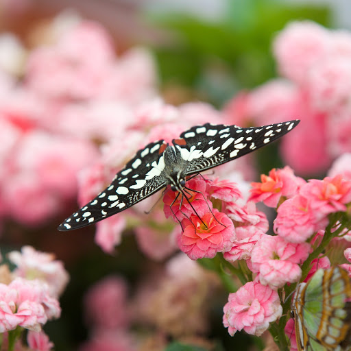 Hd-163891-ascw163891