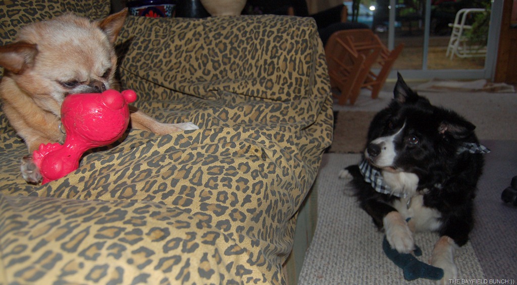 [DSC_0014%255B3%255D.jpg]