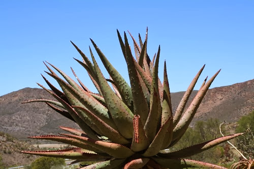 20100301 (7) (Large)