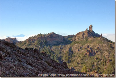 7486 La Goleta-La Candelilla(Roque Nublo) 7486 La Goleta-La Candelilla(Roque Nublo)