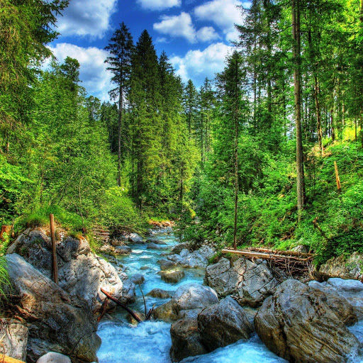 Hd-151915-ascw151915