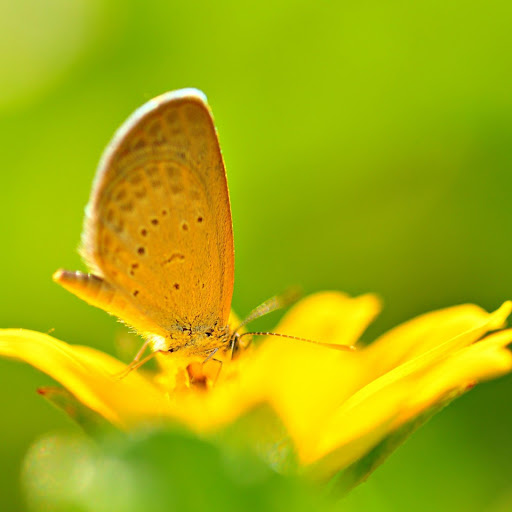 Hd-157074-ascw157074