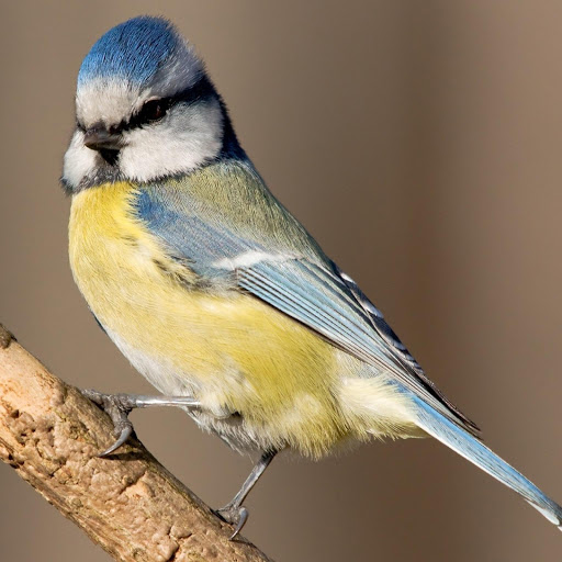 Hd-178027-ascw178027