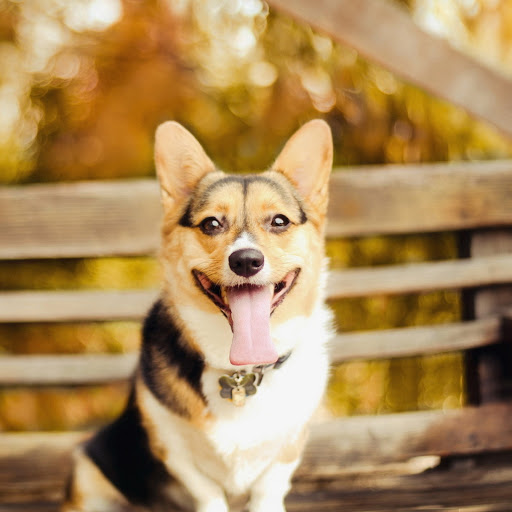 Hd-180676-ascw180676