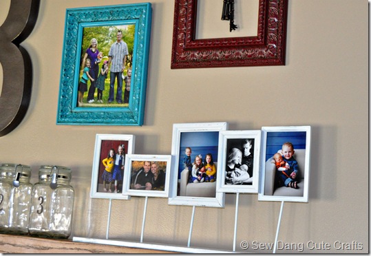 Shelf-portraits-close-up