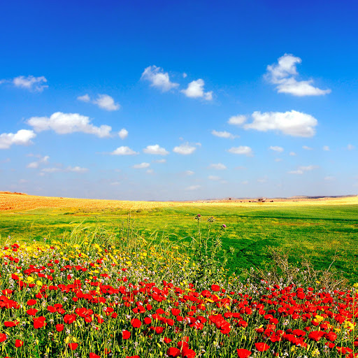 Hd-173208-ascw173208