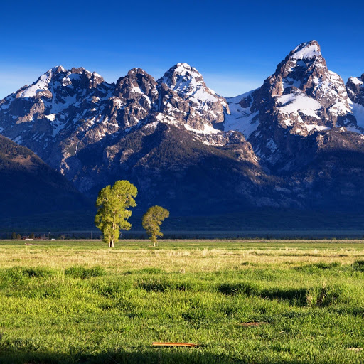 Hd-150423-ascw150423