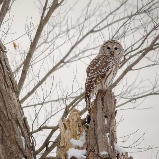 Hd-181069-ascw181069