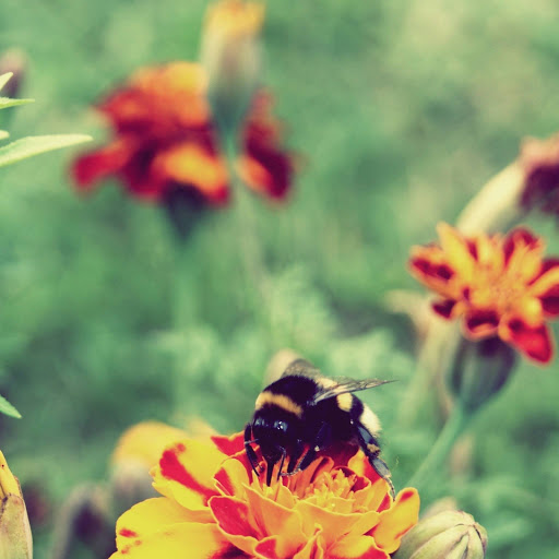 Hd-157290-ascw157290