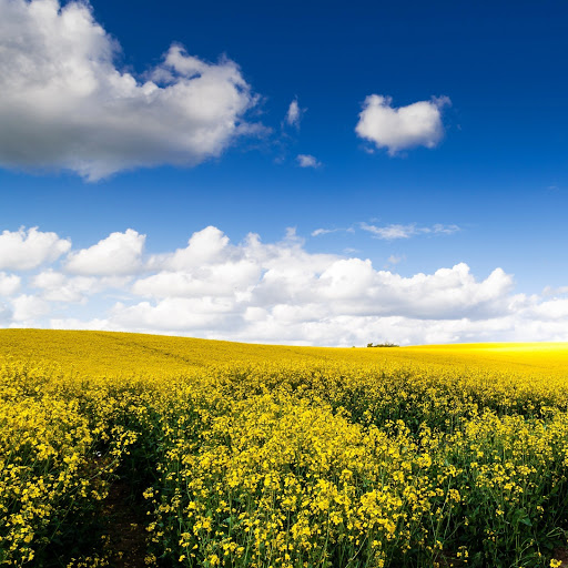 Hd-142032-ascw142032