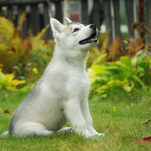 Hd-134676-ascw134676