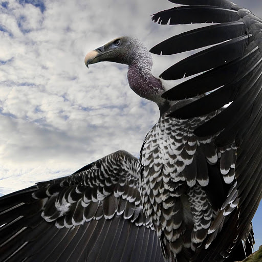 Hd-134649-ascw134649