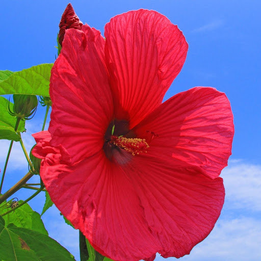 Hd-148743-ascw148743