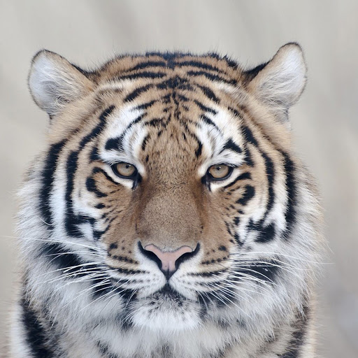 Hd-141343-ascw141343