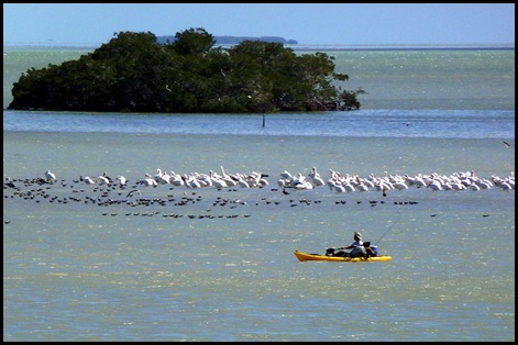 05d - walk to visitor center - Kayak Fisherman in Florida Bay