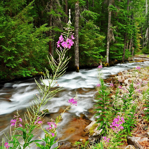 Hd-150405-ascw150405